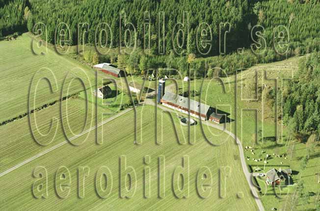 FFKV 10-098, #13. FFKV 10-098_013 (Uppges vid kontakt med Svenska Aero-Bilder AB)
